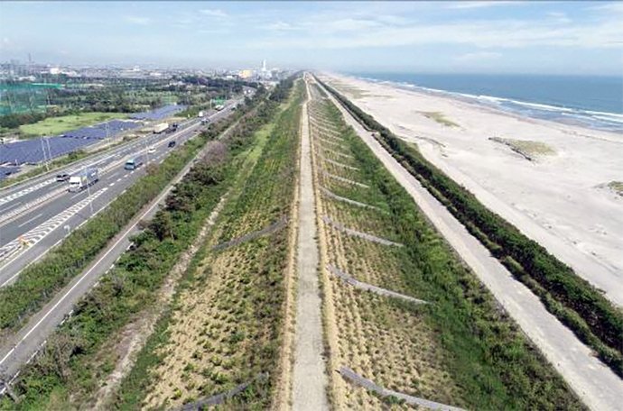 両斜面に植栽が整備された防潮堤。左は国道1号バイパス=浜松市西区篠原町(静岡県提供)